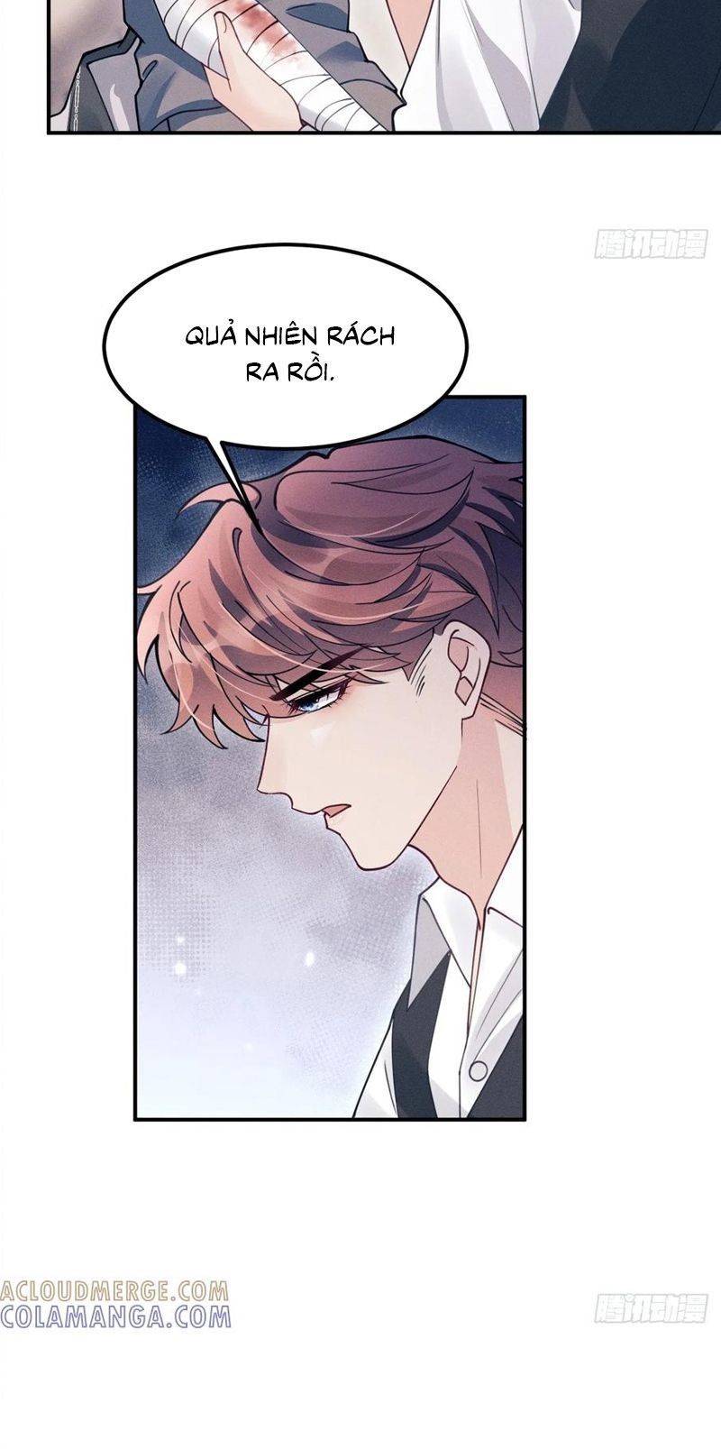 Tôi Hoài Nghi Ảnh Đế Đang Theo Đuổi Tôi Chapter 203 - Trang 55