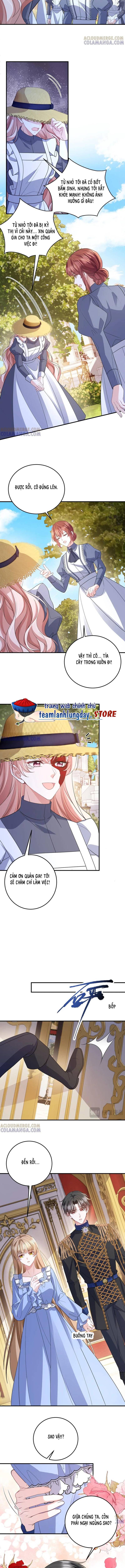 Trở Thành Hầu Gái Của Vị Bá Tước Bệnh Kiều - Chapter 43 - Page 3