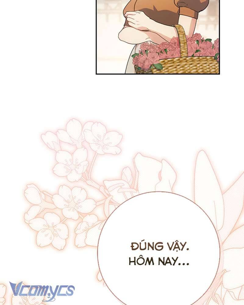 Tôi Đã Nuôi Dạy Em Gái Mình Một Cách Hoàn Hảo - Chapter 24 - Page 17