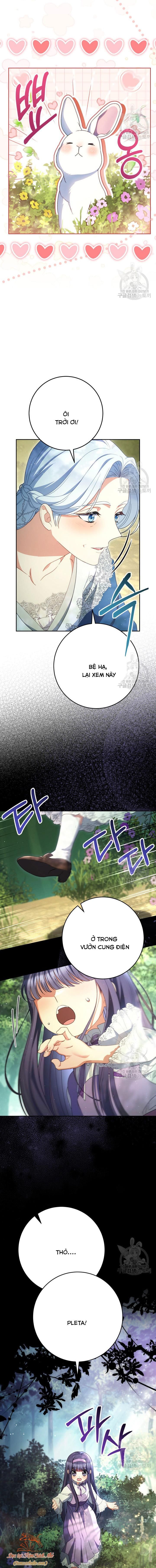 Tôi Đã Nuôi Dạy Em Gái Mình Một Cách Hoàn Hảo - Chapter 40 - Page 11