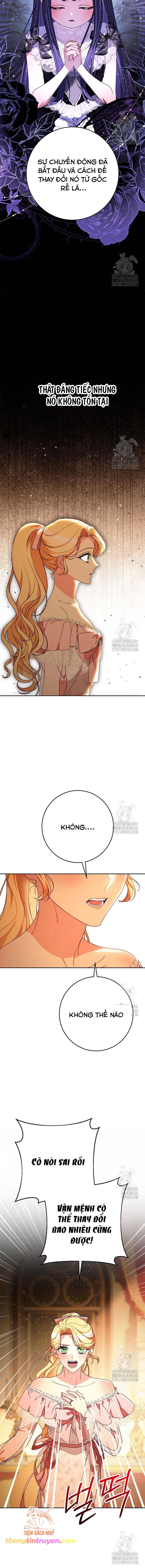 Tôi Đã Nuôi Dạy Em Gái Mình Một Cách Hoàn Hảo - Chapter 65 - Page 20