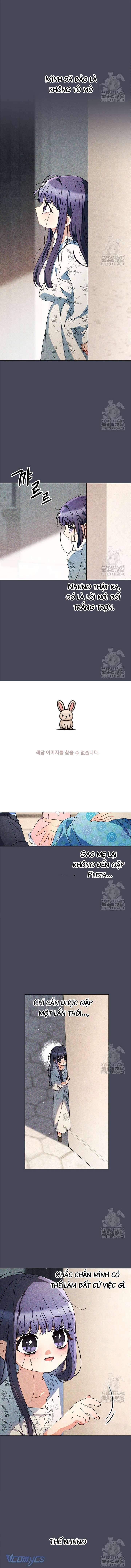 Tôi Đã Nuôi Dạy Em Gái Mình Một Cách Hoàn Hảo - Chapter 70 - Page 5