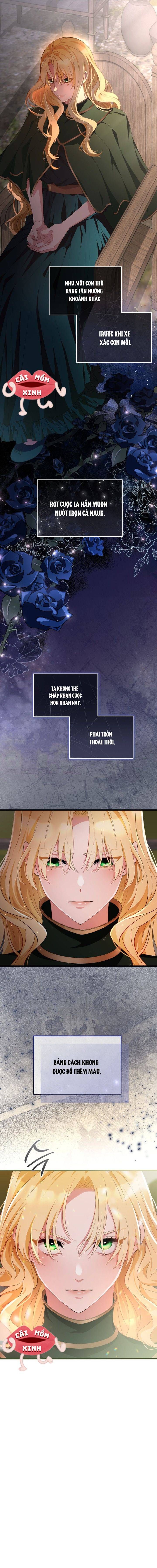 Lời Cầu Hôn Hoang Dã - Chapter 1 - Page 24