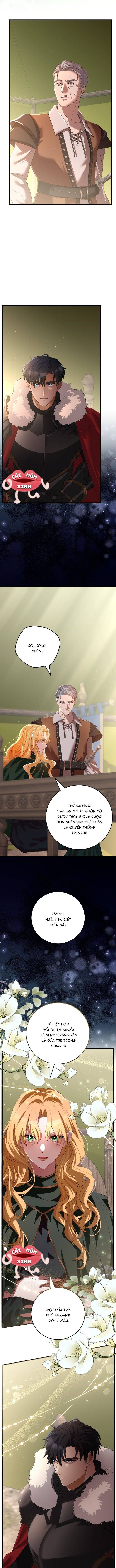 Lời Cầu Hôn Hoang Dã - Chapter 1 - Page 26