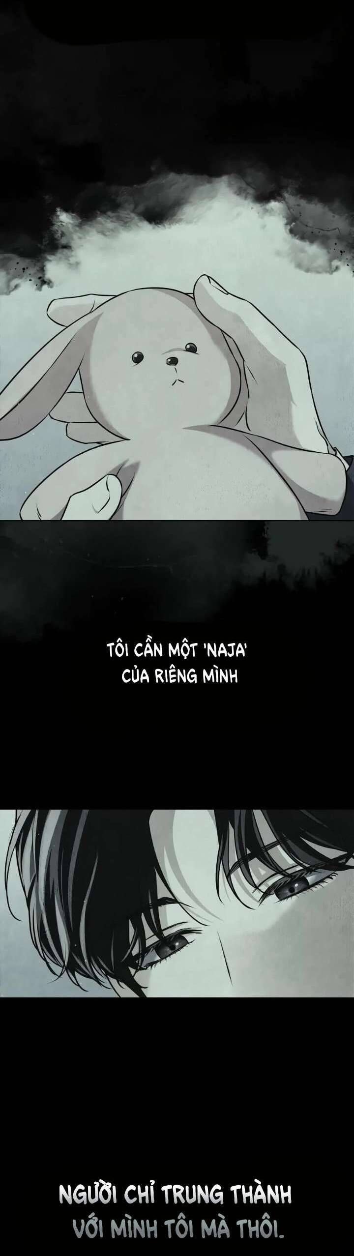 Lửa Hồn Chapter 30 - Trang 3