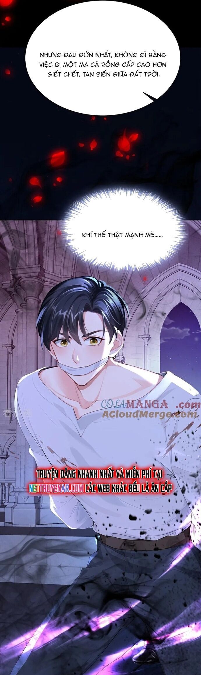 Hệ Thống Xuyên Nhanh: Ác Nam Không Dễ Chọc - Chapter 145 - Page 21