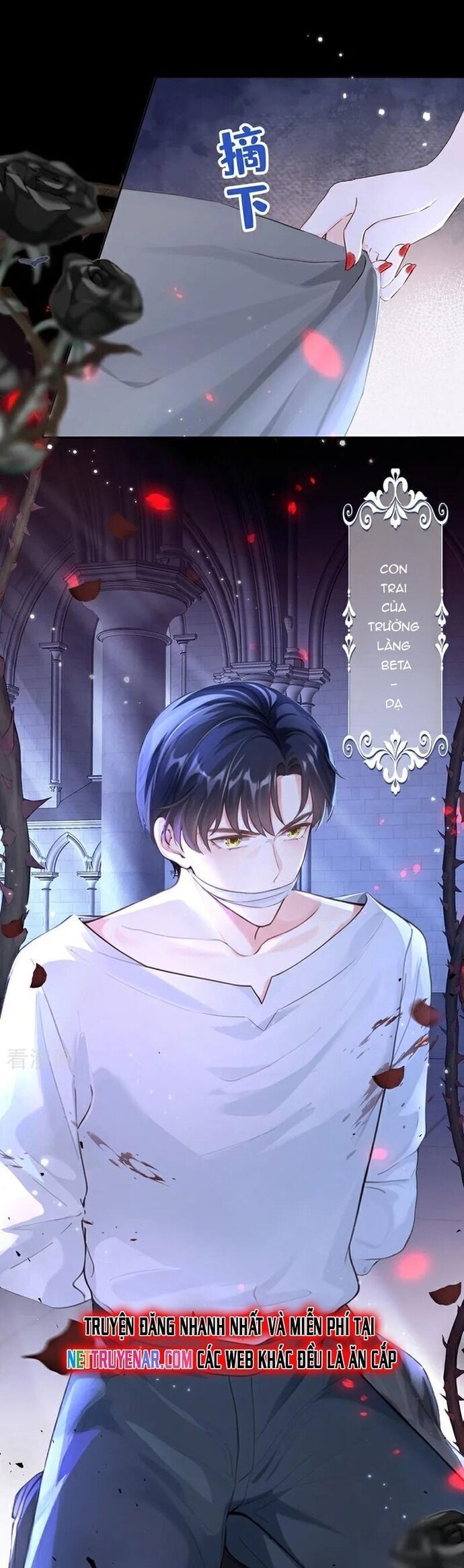 Hệ Thống Xuyên Nhanh: Ác Nam Không Dễ Chọc - Chapter 145 - Page 6