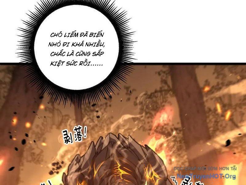 Lão Xà Tu Tiên Truyện Chapter 49 - Trang 13