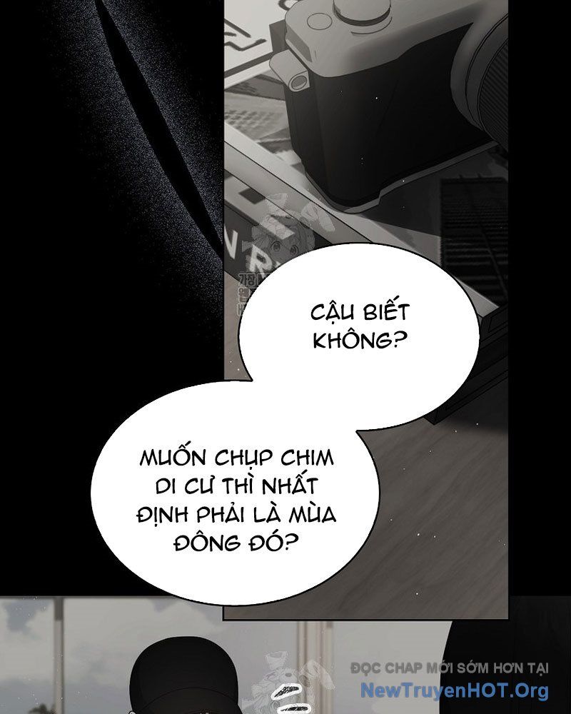 Ra Mắt Hay Ra Đi - Chapter 80 - Page 17