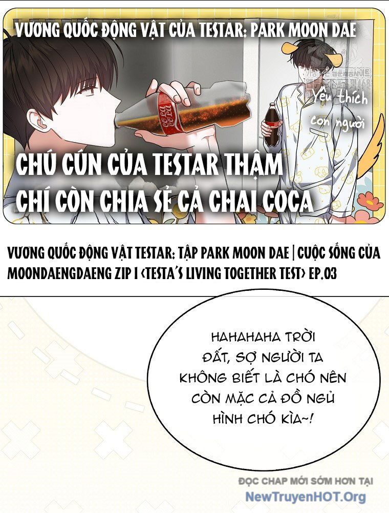 Ra Mắt Hay Ra Đi - Chapter 81 - Page 16