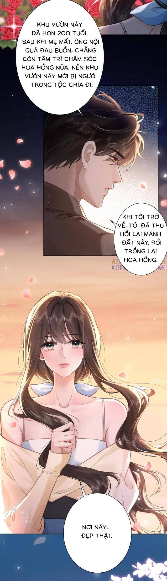 Tổng Tài Cố Chấp Xin Hãy Buông Tha Tôi - Chapter 28 - Page 15