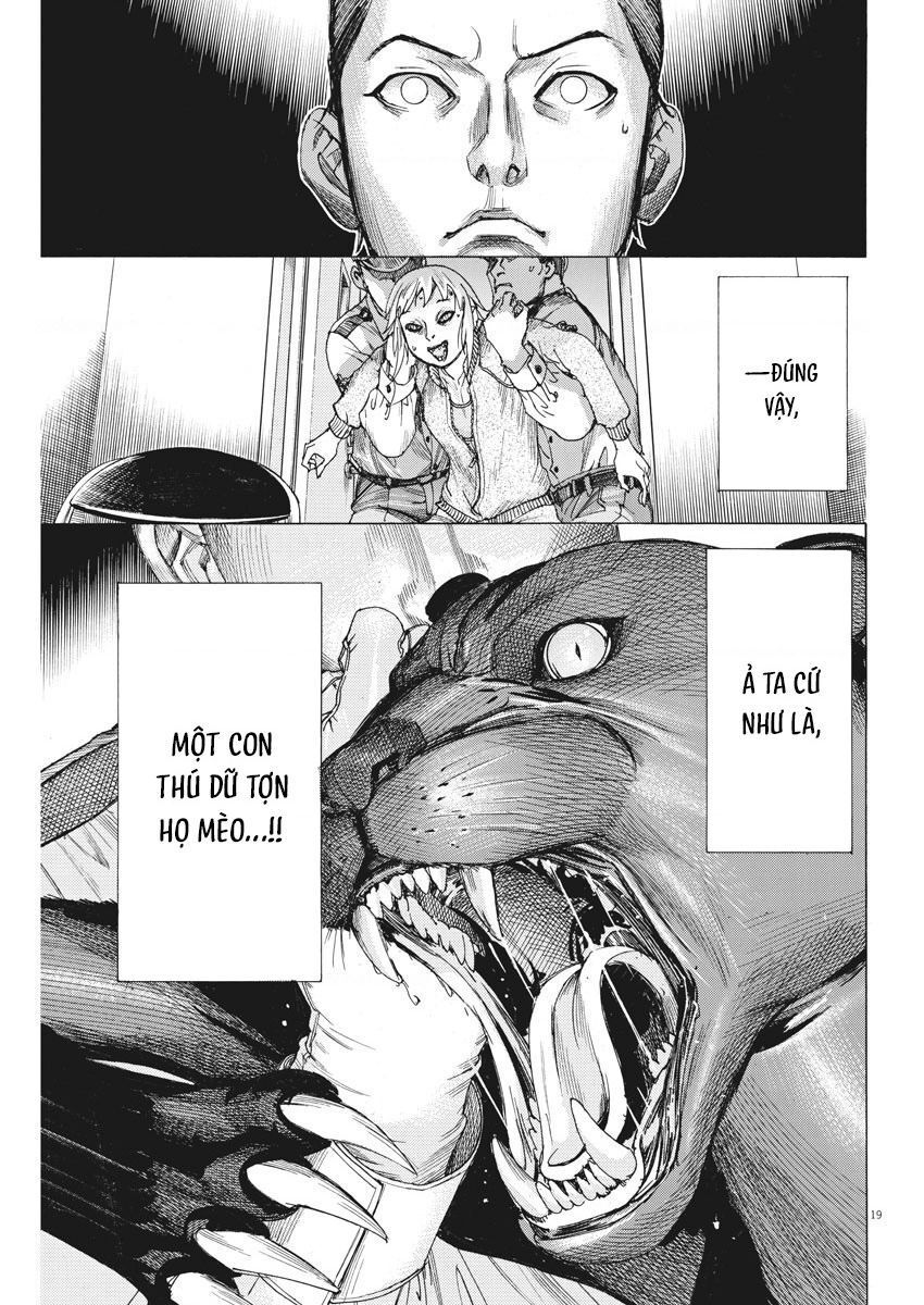 Đám Cưới Của Natsume Arata Chapter 36 - Trang 19