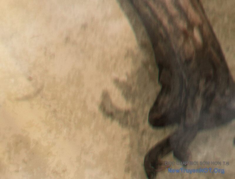 Kẻ Thù Của Ta Lại Thành Đạo Lữ - Chapter 1 - Page 6