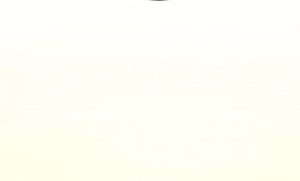 Con Trai Út Của Gia Đình Kiếm Thuật Danh Tiếng - Chapter 175 - Page 27