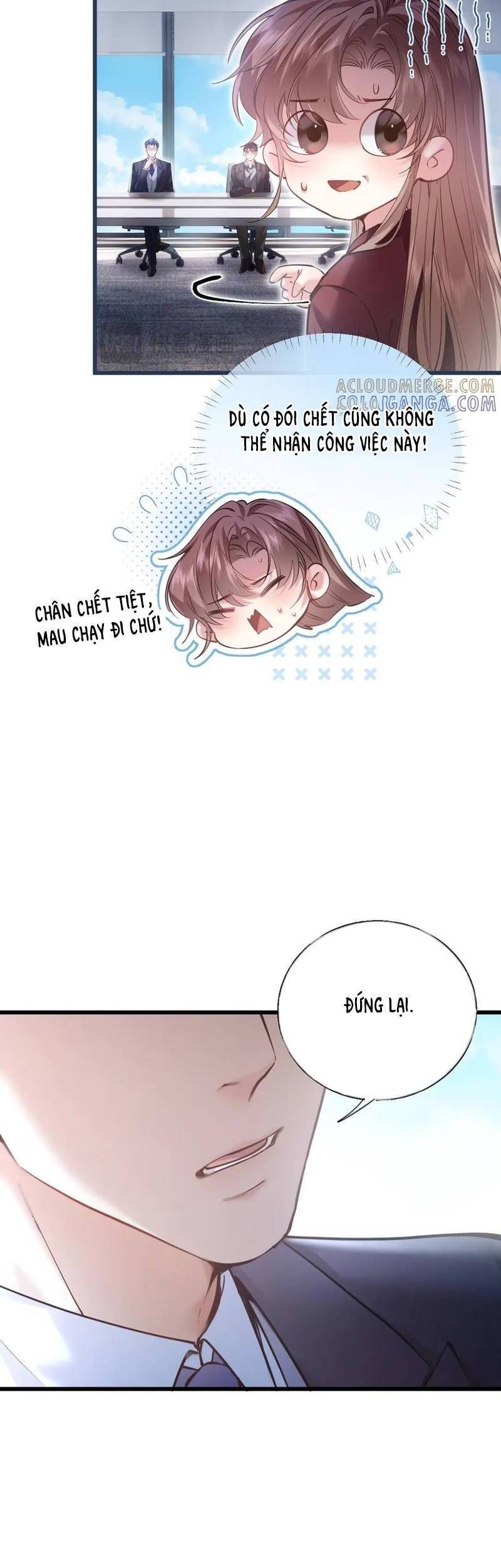 Từ Chối Hiến Thận, Tôi Trở Thành Mợ Út Của Người Yêu Cũ - Chapter 6 - Page 6