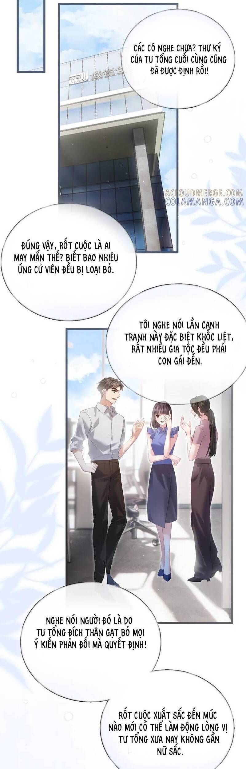 Từ Chối Hiến Thận, Tôi Trở Thành Mợ Út Của Người Yêu Cũ - Chapter 7 - Page 3