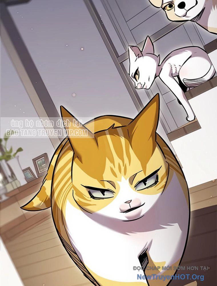 Hoá Thân Thành Mèo - Chapter 363 - Page 113