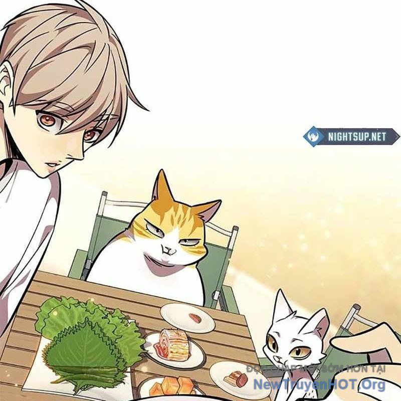 Hoá Thân Thành Mèo - Chapter 366 - Page 159