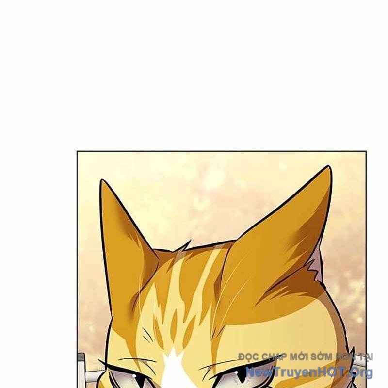 Hoá Thân Thành Mèo - Chapter 366 - Page 161