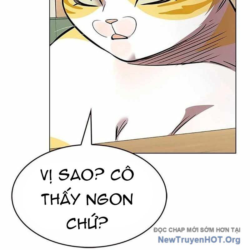 Hoá Thân Thành Mèo - Chapter 366 - Page 162