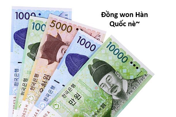 Hổ Đến Chơi Nhà - Chapter 159 - Page 14