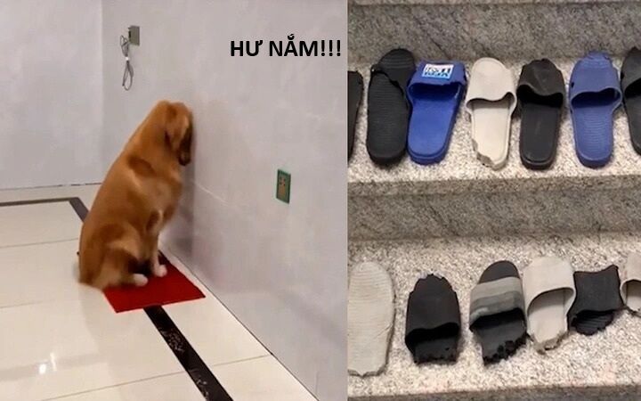 Hổ Đến Chơi Nhà - Chapter 159 - Page 16