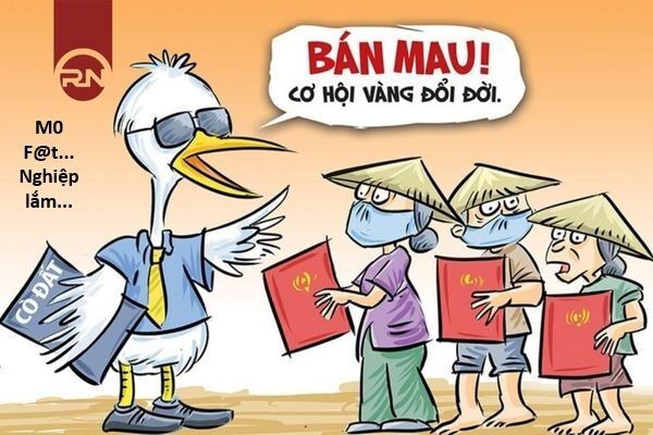 Hổ Đến Chơi Nhà - Chapter 165 - Page 7