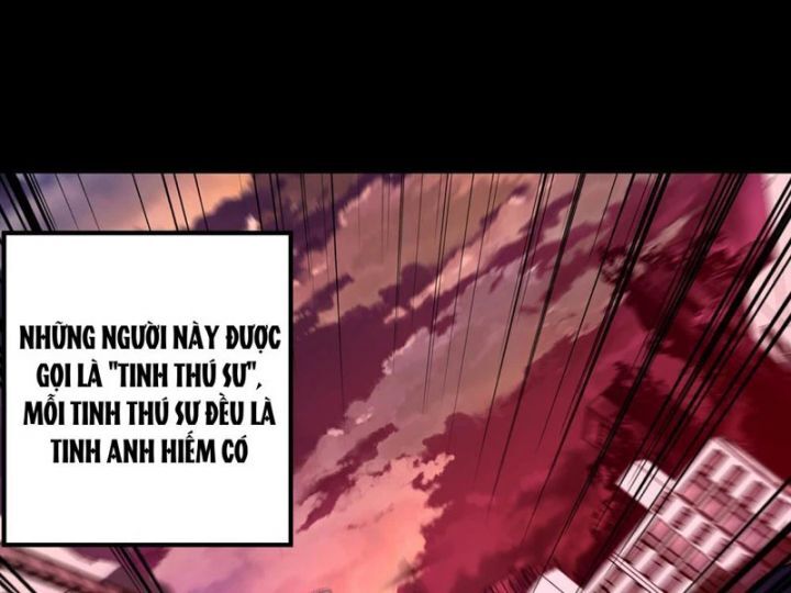 Tối Cường Tinh Thú Sư - Chapter 1 - Page 13