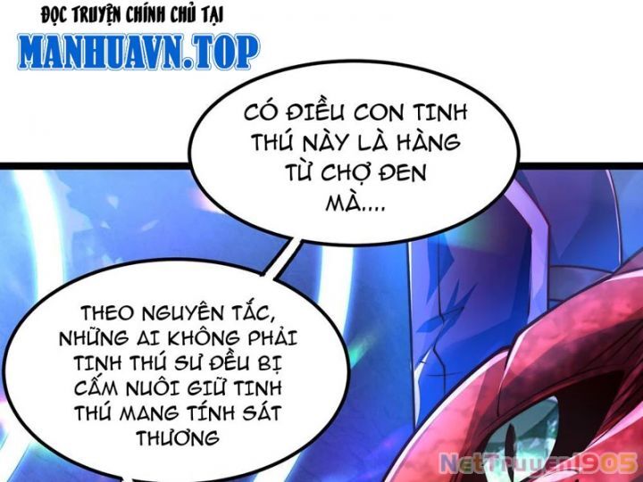 Tối Cường Tinh Thú Sư - Chapter 2 - Page 13