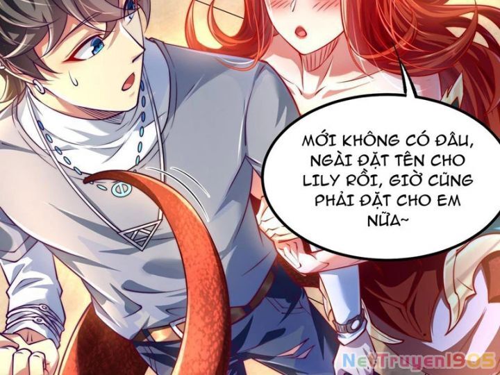 Tối Cường Tinh Thú Sư - Chapter 2 - Page 34