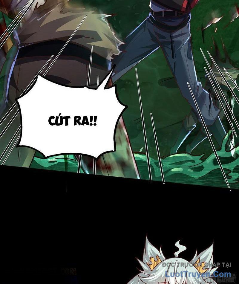 Tối Cường Tinh Thú Sư - Chapter 27 - Page 12