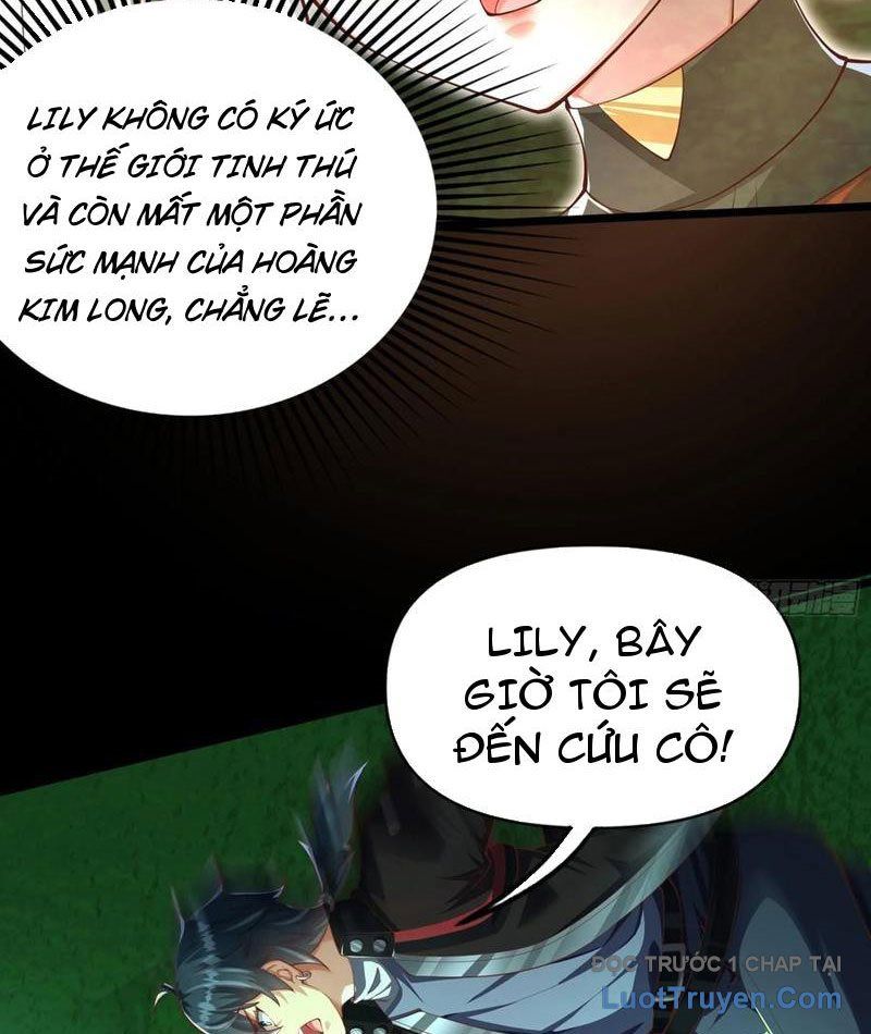 Tối Cường Tinh Thú Sư - Chapter 27 - Page 25