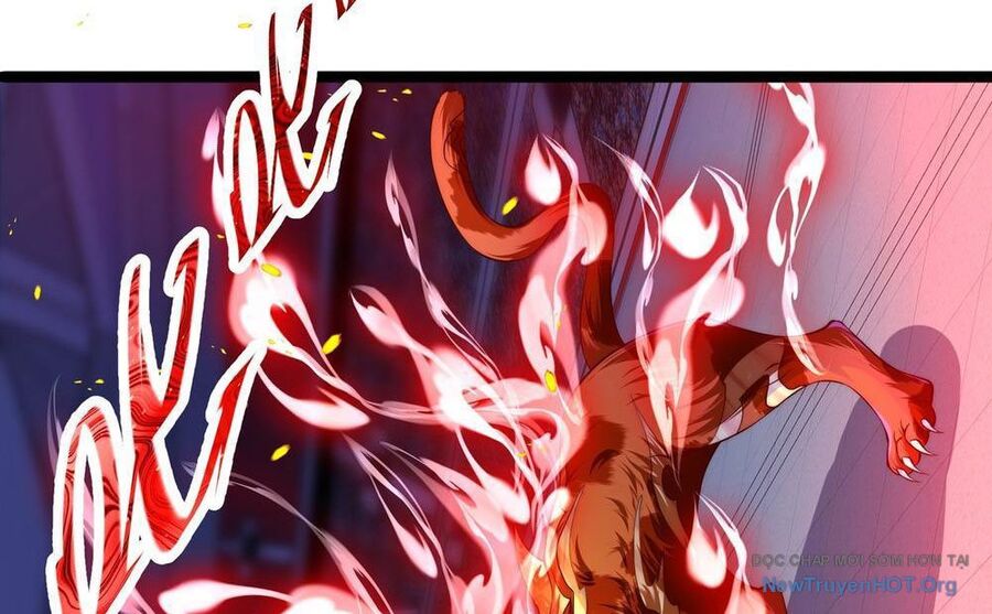 Tối Cường Tinh Thú Sư - Chapter 3 - Page 30
