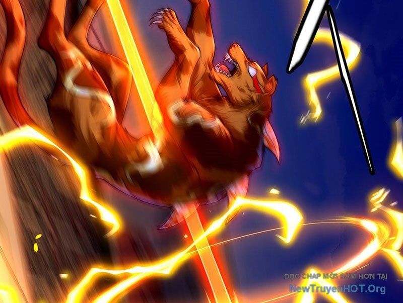 Tối Cường Tinh Thú Sư - Chapter 3 - Page 51