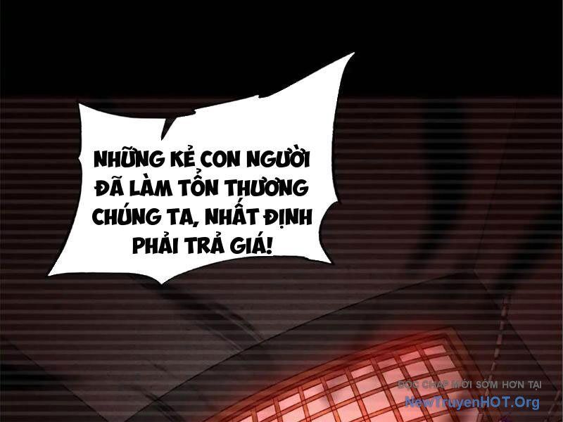 Tối Cường Tinh Thú Sư - Chapter 9 - Page 34