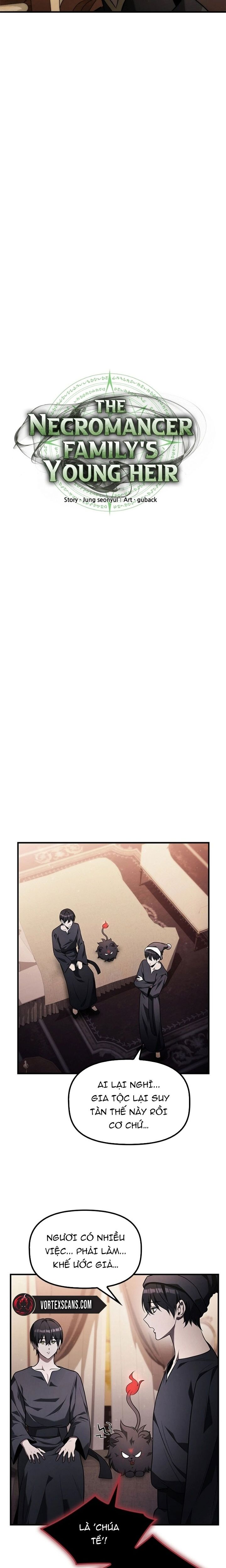 Tiểu Thiếu Gia Của Tử Linh Gia Tộc - Chapter 11 - Page 17