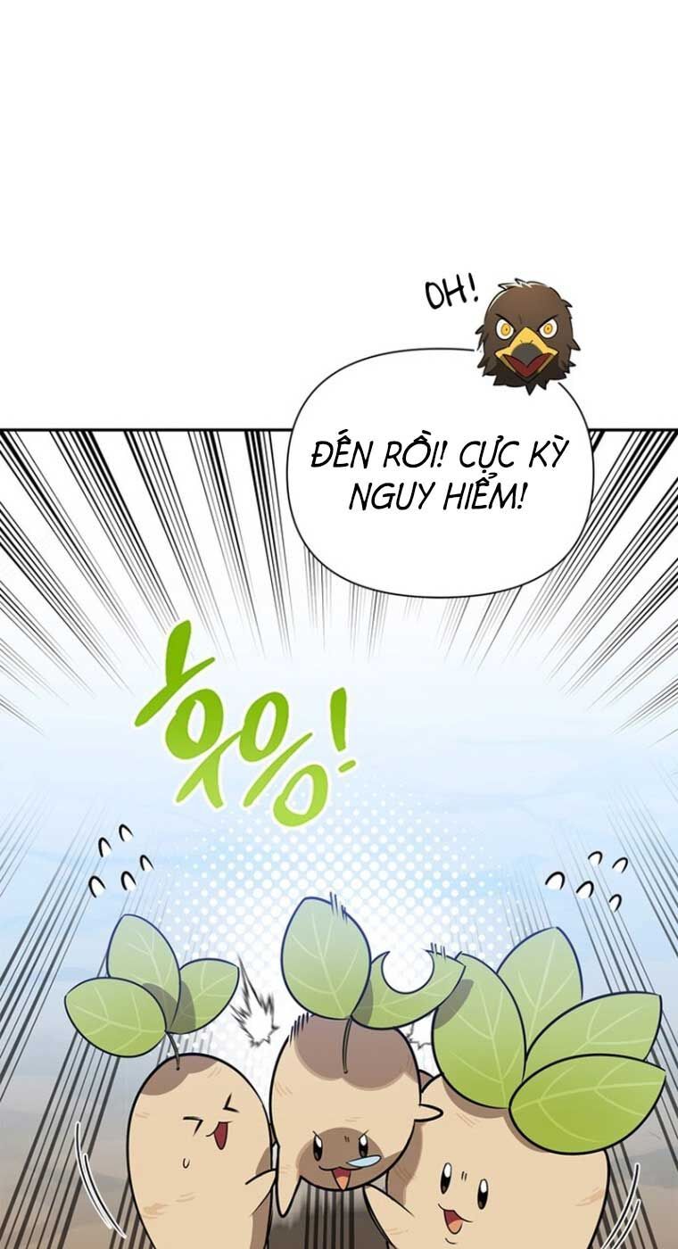 Healer Cấp S Chữa Trị Cho Quái Vật - Chapter 0 - Page 16