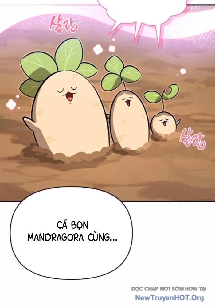 Healer Cấp S Chữa Trị Cho Quái Vật - Chapter 13 - Page 25