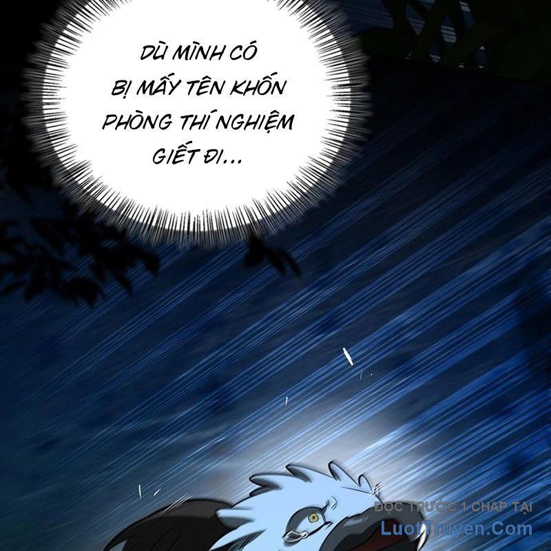 Healer Cấp S Chữa Trị Cho Quái Vật - Chapter 15 - Page 11