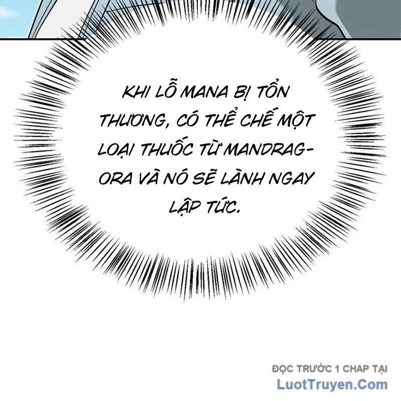 Healer Cấp S Chữa Trị Cho Quái Vật - Chapter 15 - Page 193