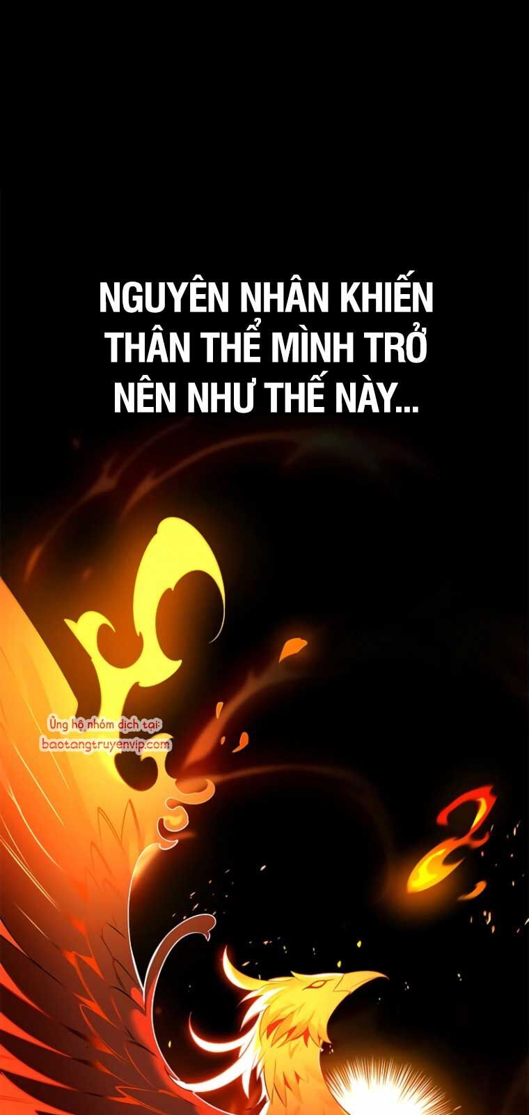 Healer Cấp S Chữa Trị Cho Quái Vật - Chapter 2 - Page 5