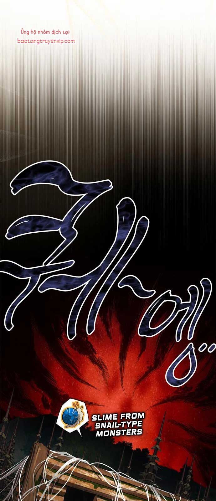 Healer Cấp S Chữa Trị Cho Quái Vật - Chapter 3 - Page 24