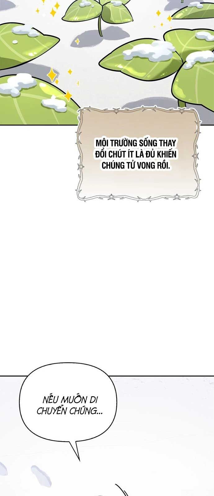 Healer Cấp S Chữa Trị Cho Quái Vật - Chapter 3 - Page 44