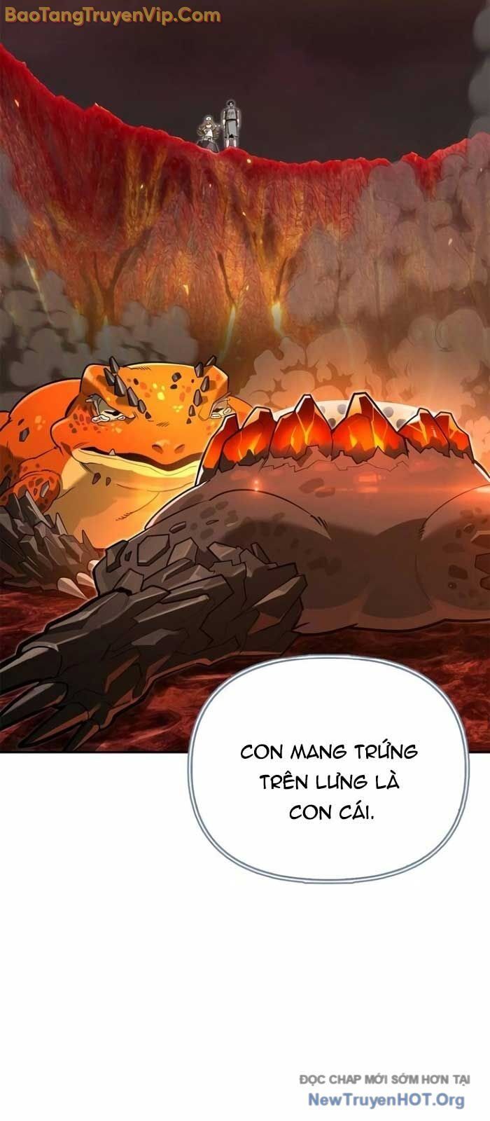 Healer Cấp S Chữa Trị Cho Quái Vật - Chapter 9 - Page 23