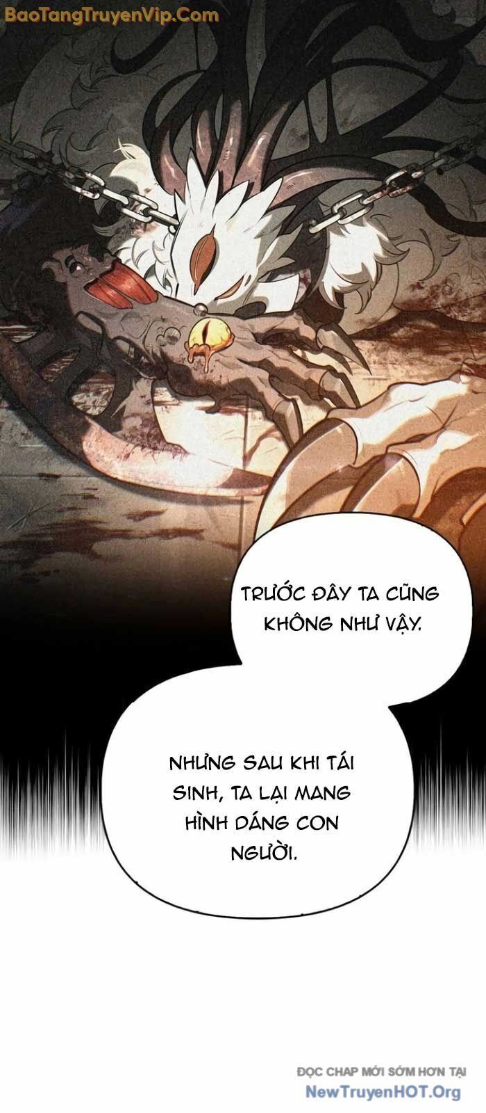 Healer Cấp S Chữa Trị Cho Quái Vật - Chapter 9 - Page 8