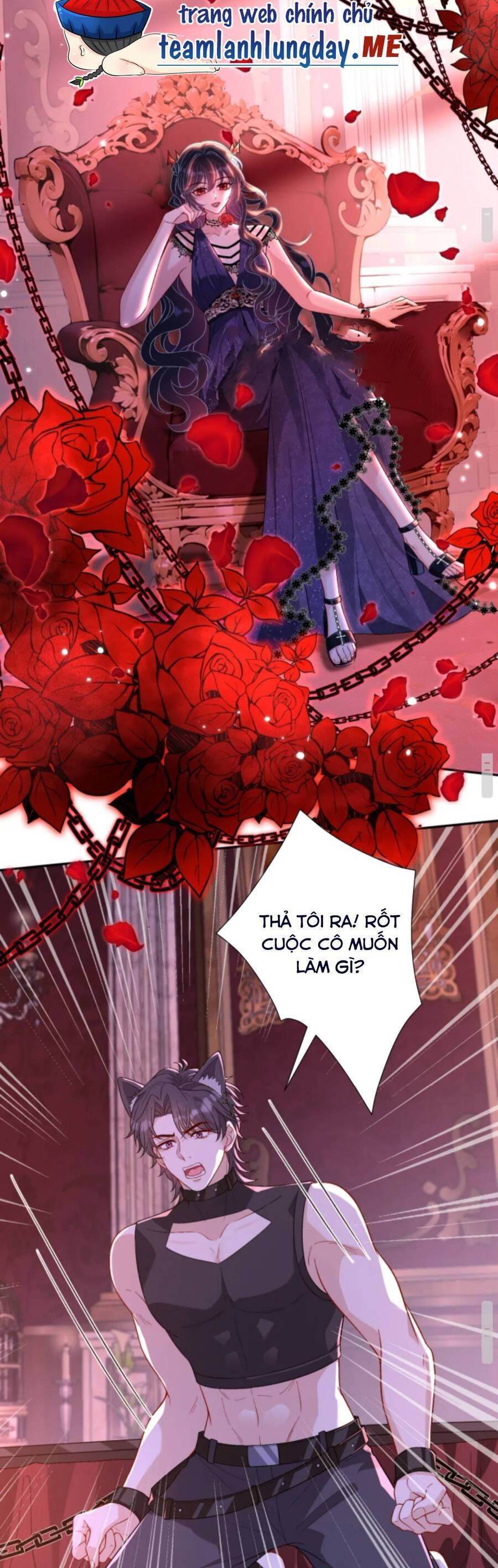 Thiên Kim Toàn Năng Đại Tài - Chapter 187 - Page 3