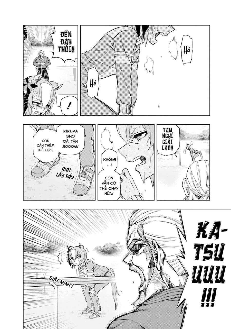 Uma Musume: Cinderella Gray - Chapter 44 - Page 14