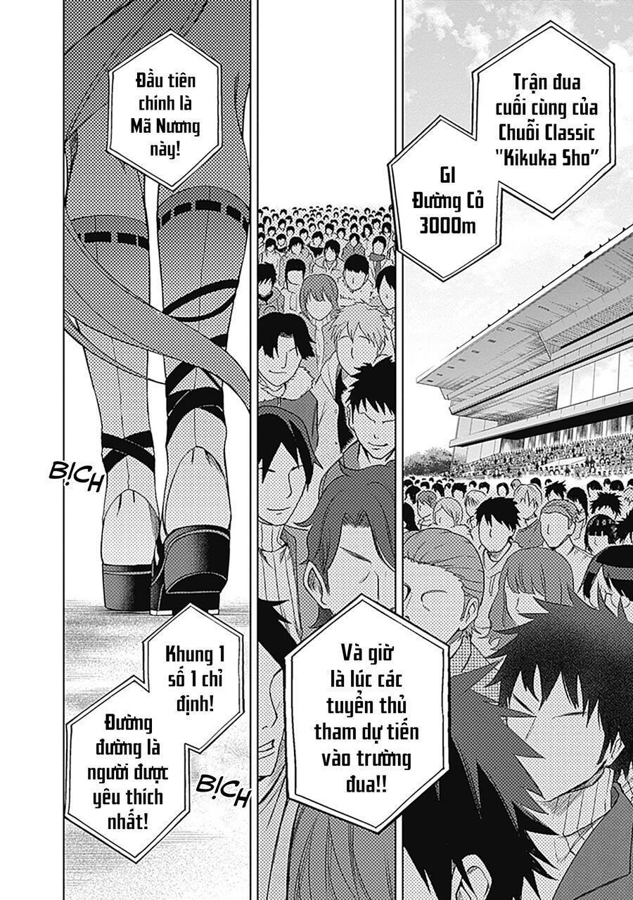 Uma Musume: Cinderella Gray - Chapter 45 - Page 10