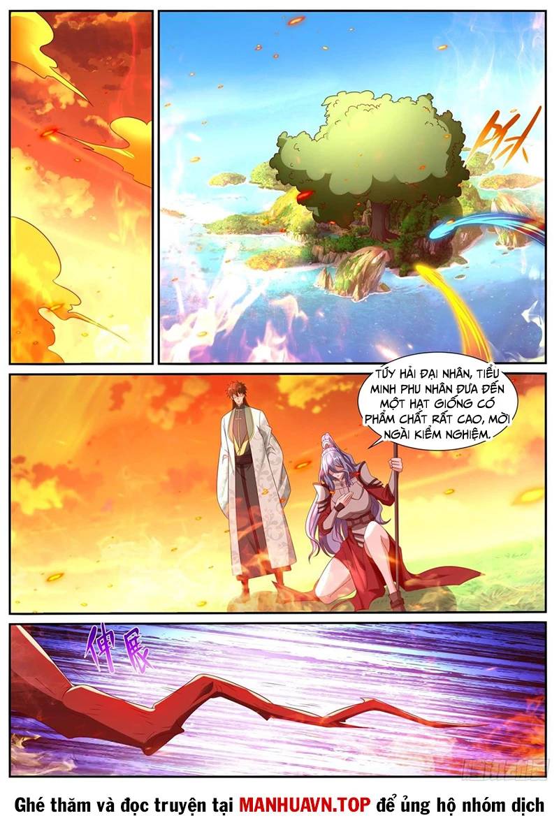 Trọng Sinh Đô Thị Tu Tiên - Chapter 1019 - Page 8