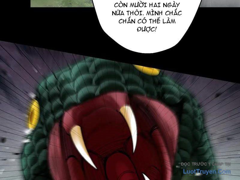 Gặp Mạnh Thì Càng Mạnh, Tu Vi Của Ta Không Giới Hạn - Chapter 78 - Page 25